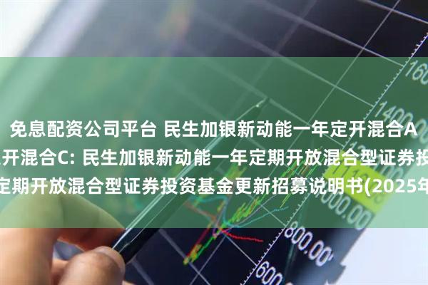 免息配资公司平台 民生加银新动能一年定开混合A,民生加银新动能一年定开混合C: 民生加银新动能一年定期开放混合型证券投资基金更新招募说明书(2025年第1号)