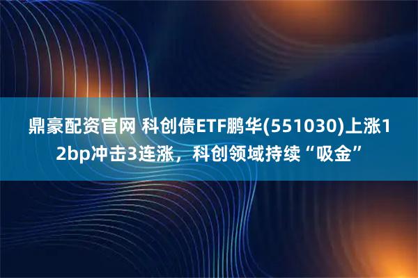 鼎豪配资官网 科创债ETF鹏华(551030)上涨12bp冲击3连涨，科创领域持续“吸金”