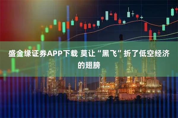 盛金缘证券APP下载 莫让“黑飞”折了低空经济的翅膀