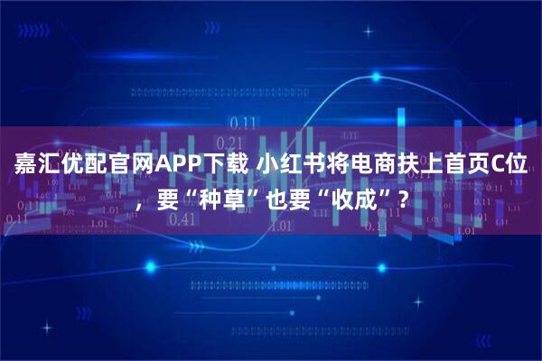 嘉汇优配官网APP下载 小红书将电商扶上首页C位，要“种草”也要“收成”？